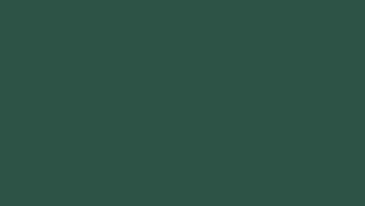 темно-зеленый (RAL 6020)